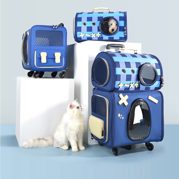 猎豹加速器安卓版