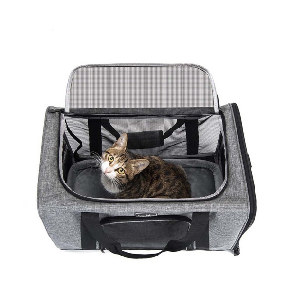 猎豹加速器官网